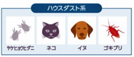 ハウスダスト系アレルギー